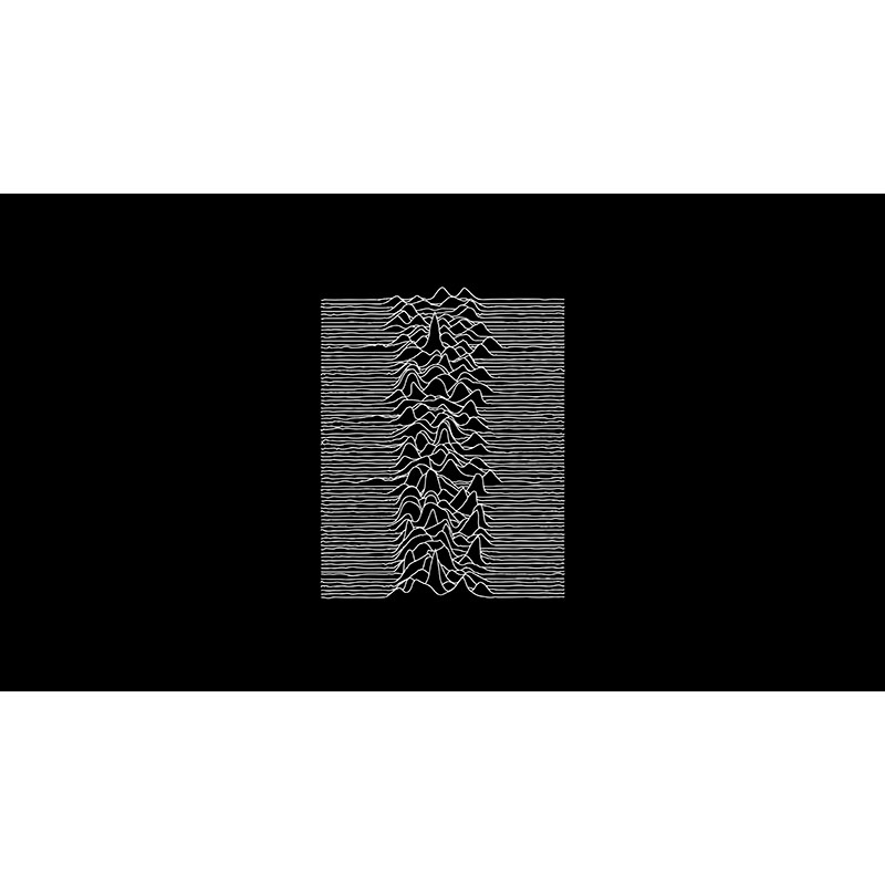 Πίνακας σε καμβά Joy Division Unknown Pleasures 